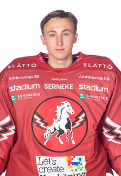 Vita Hästens August Hedlund