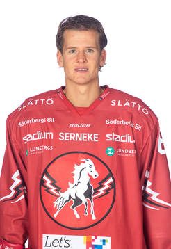 Vita Hästens Erik Borg