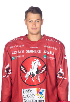Vita Hästens Anton Danielsson