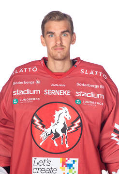 Vita Hästens Adam Werner