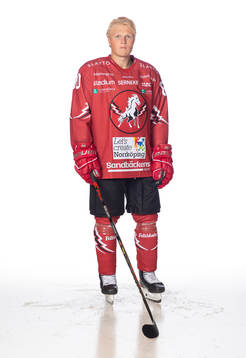 Vita Hästens Anton Johansson