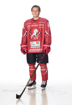 Vita Hästens Marcus Karlberg
