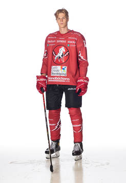 Vita Hästens Robin Liljekvist