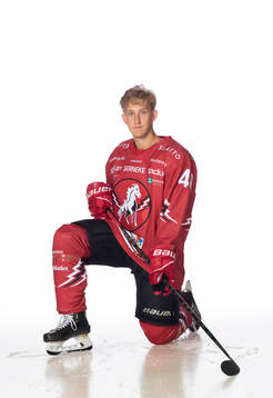 Vita Hästens Karl Påhlsson