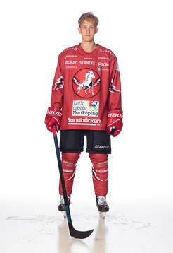 Vita Hästens Karl Påhlsson