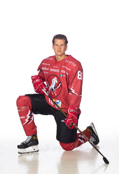 Vita Hästens Erik Borg