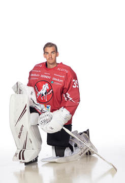 Vita Hästens Adam Werner