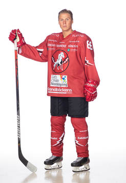 Vita Hästens David Åslin