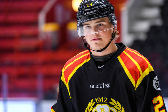 Brynäs Alexander Ljungkrantz