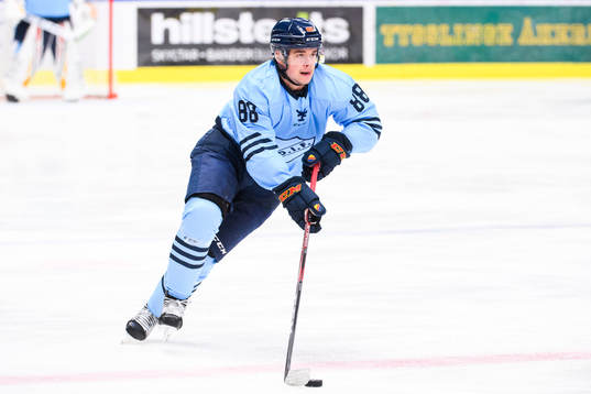 Djurgårdens Alexander Holtz