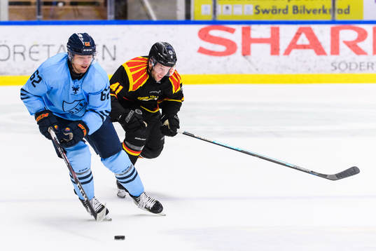 Djurgårdens Manuel Ågren och Brynäs Greg Scott