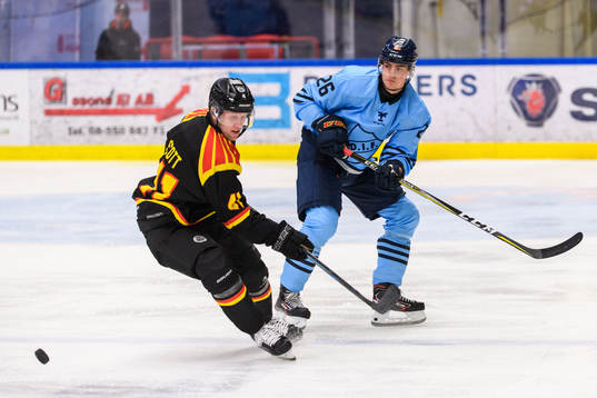 Brynäs Greg Scott och Djurgårdens Alex Brännstam