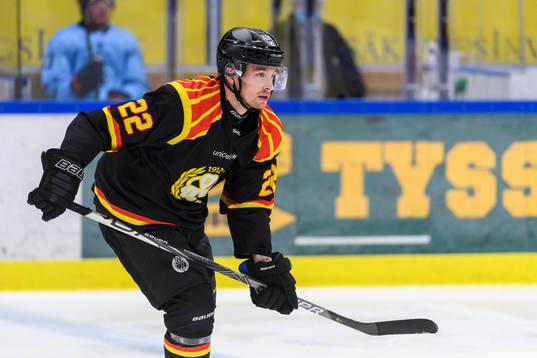 Brynäs Adam Pettersson