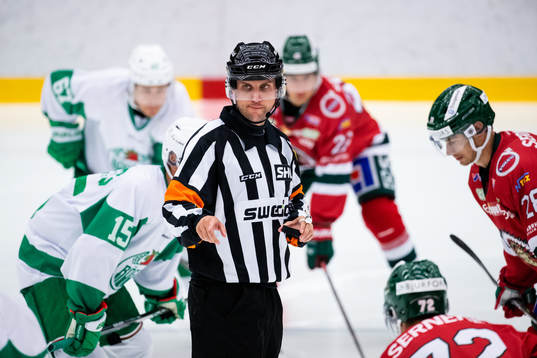 Domare Patric Bjälkander
