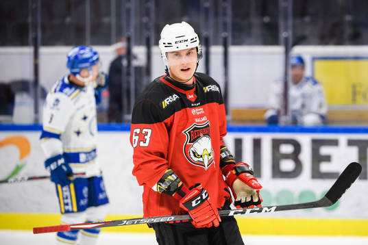 Malmö Redhawks Fredrik Händemark
