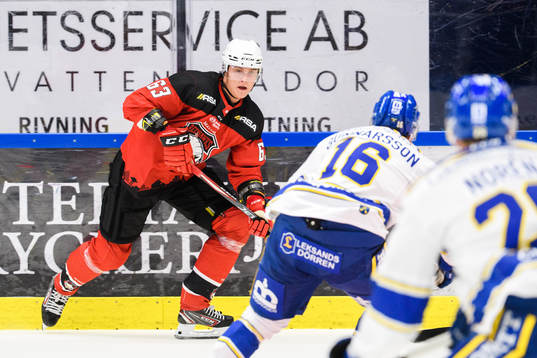 Malmö Redhawks Fredrik Händemark