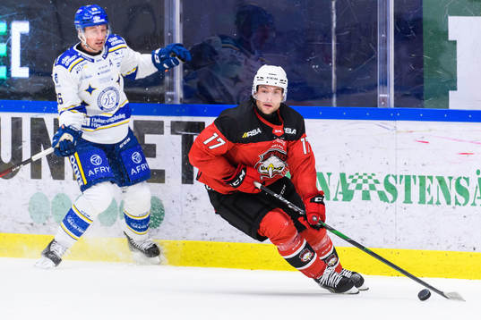 Malmö Redhawks Pathrik Westerholm