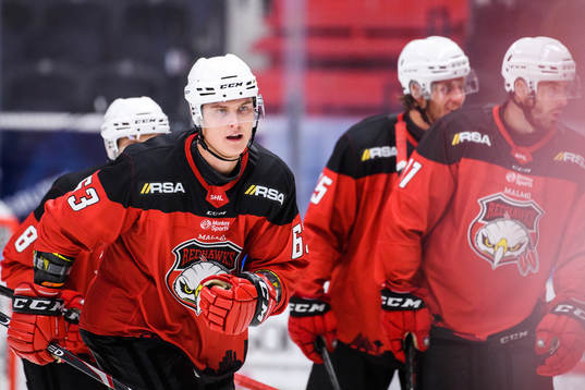 Malmö Redhawks Fredrik Händemark jublar