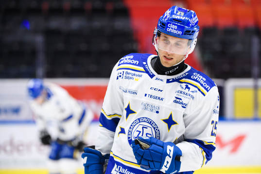 Leksands Carter Camper deppar