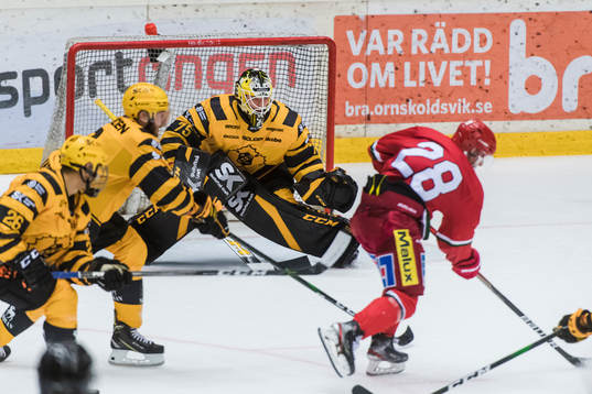 Skellefteås målvakt Arvid Söderblom