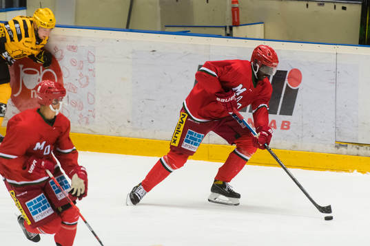 Modos Edwin Hedberg