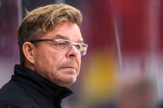 Vita Hästens assisterande tränare Niklas Czarnecki