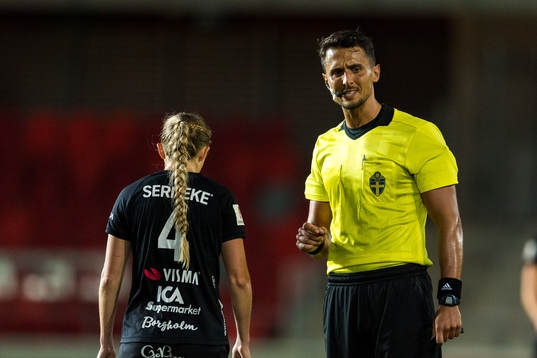 Domare Agi Aganovic
