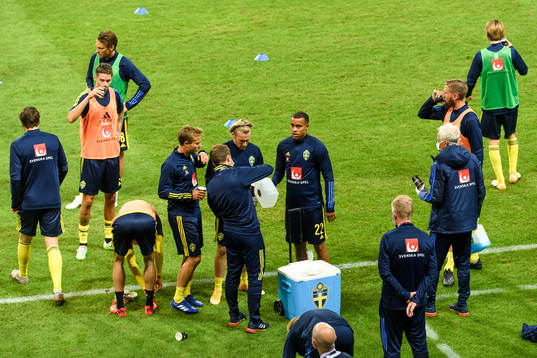 Players of Sweden