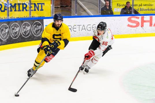 Södertäljes Jacob Dahlström och Vita Hästens Albert