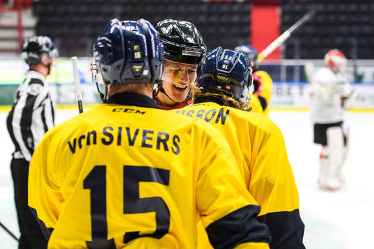 Vita Hästens Erik Borg i bråk med Södertäljes Emil