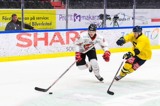 Vita Hästens Erik Borg och Södertäljes Samuel Fagemo