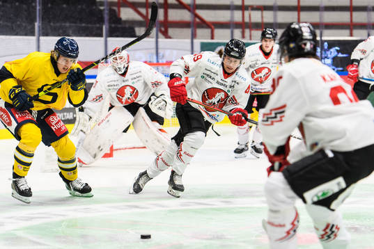 Vita Hästens Filip Cruseman