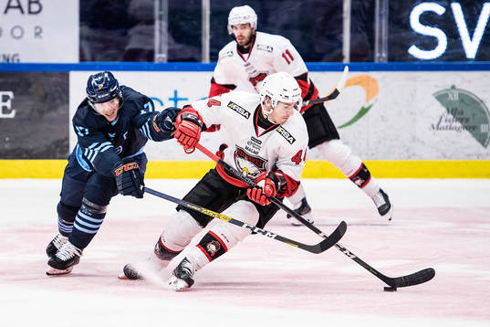 Djurgårdens Henrik Eriksson och Malmö Redhawks Jesper