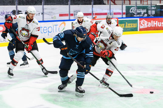 Djurgårdens Oscar Bjerselius och Malmö Redhawks