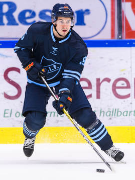Djurgårdens Michael Haga