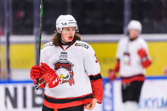 Malmö Redhawks Malte Setkov deppar
