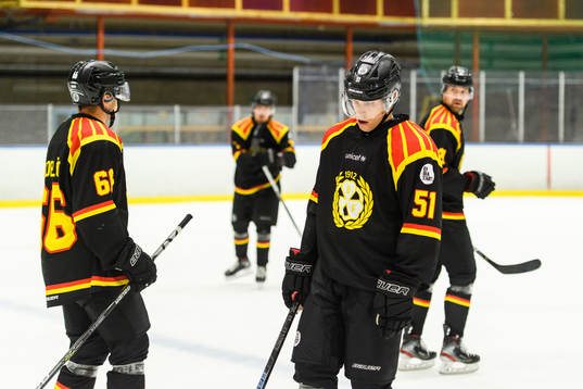 Brynäs Tomi Sallinen deppar