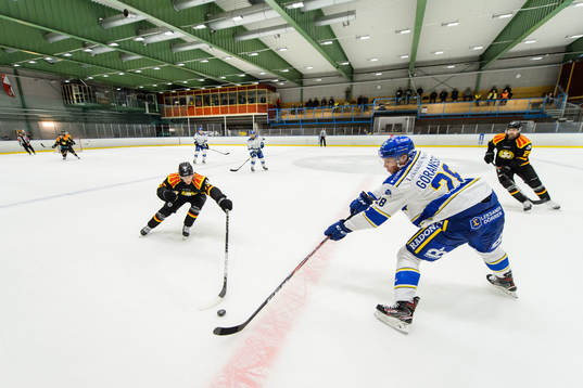 Brynäs Daniel Mannberg och Leksands Mattias Göransson