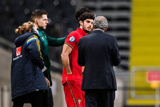 Goncalo Guedes of Portugal