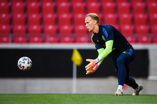 Goalkeeper Pontus Dahlberg of Sweden