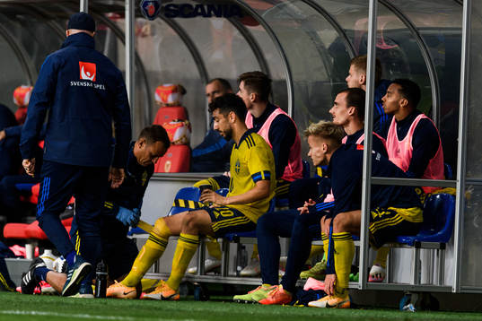 Daleho Irandust of Sweden in pain