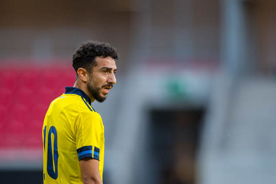 Daleho Irandust of Sweden