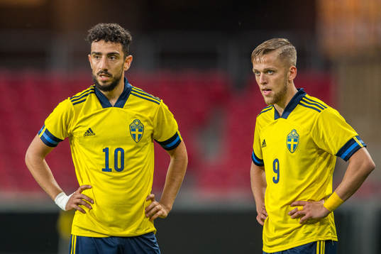 Daleho Irandust and Jesper Karlsson of Sweden