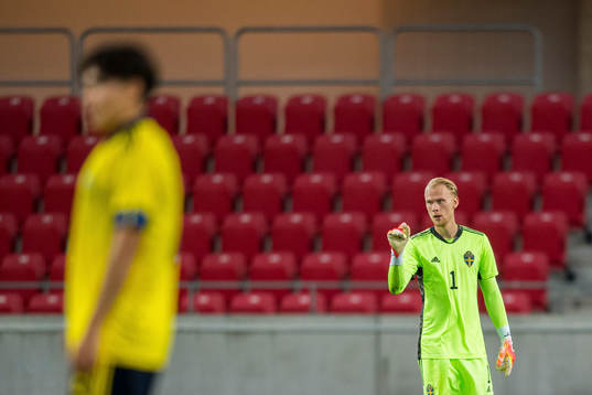 Goalkeeper Pontus Dahlberg of Sweden
