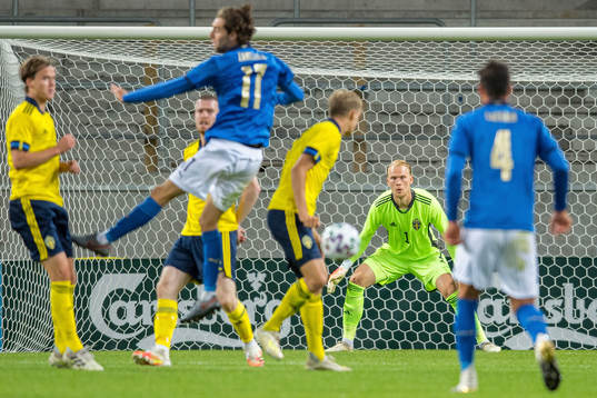 Goalkeeper Pontus Dahlberg of Sweden