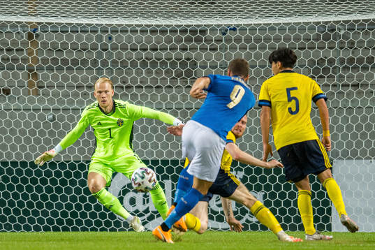Goalkeeper Pontus Dahlberg of Sweden