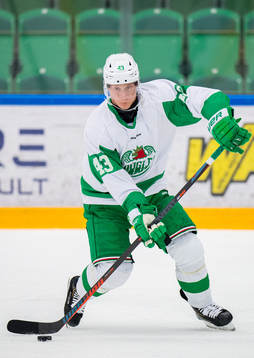Rögles Olli Palola