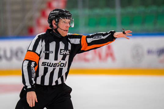Domare Mikael Holm