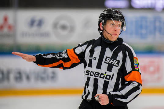 Domare Mikael Holm