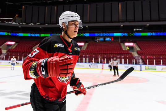 Malmö Redhawks Fredrik Händemark jublar